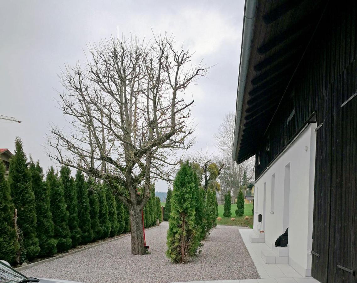 Muensing Naehe Starnberger See, Schoene Ferienwohnung, Gaestewohnung 125Qm Eg Und Og Kontaktfrei 외부 사진