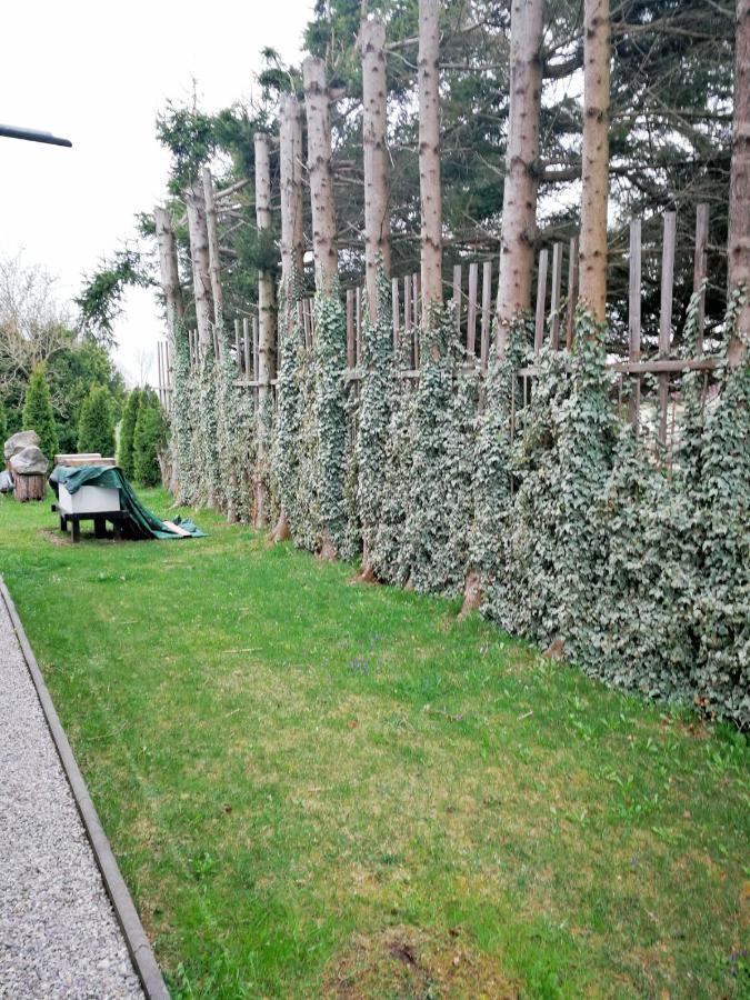 Muensing Naehe Starnberger See, Schoene Ferienwohnung, Gaestewohnung 125Qm Eg Und Og Kontaktfrei 외부 사진